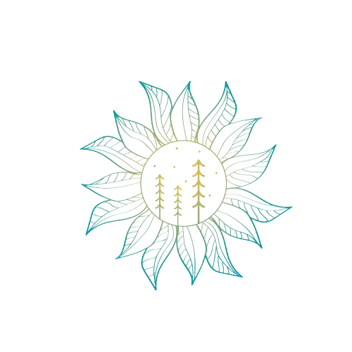 Management & Mental Health Services